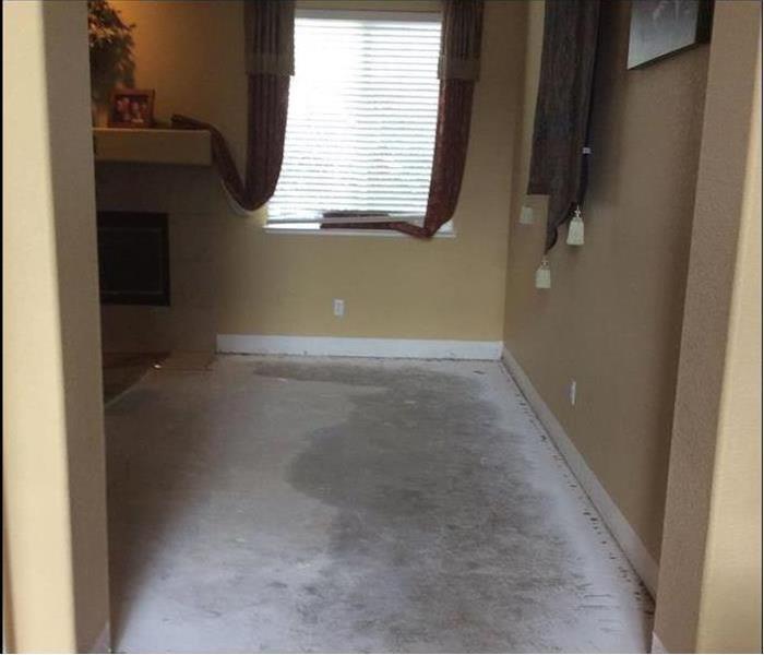 Living room showing soaked carpet and water staining 